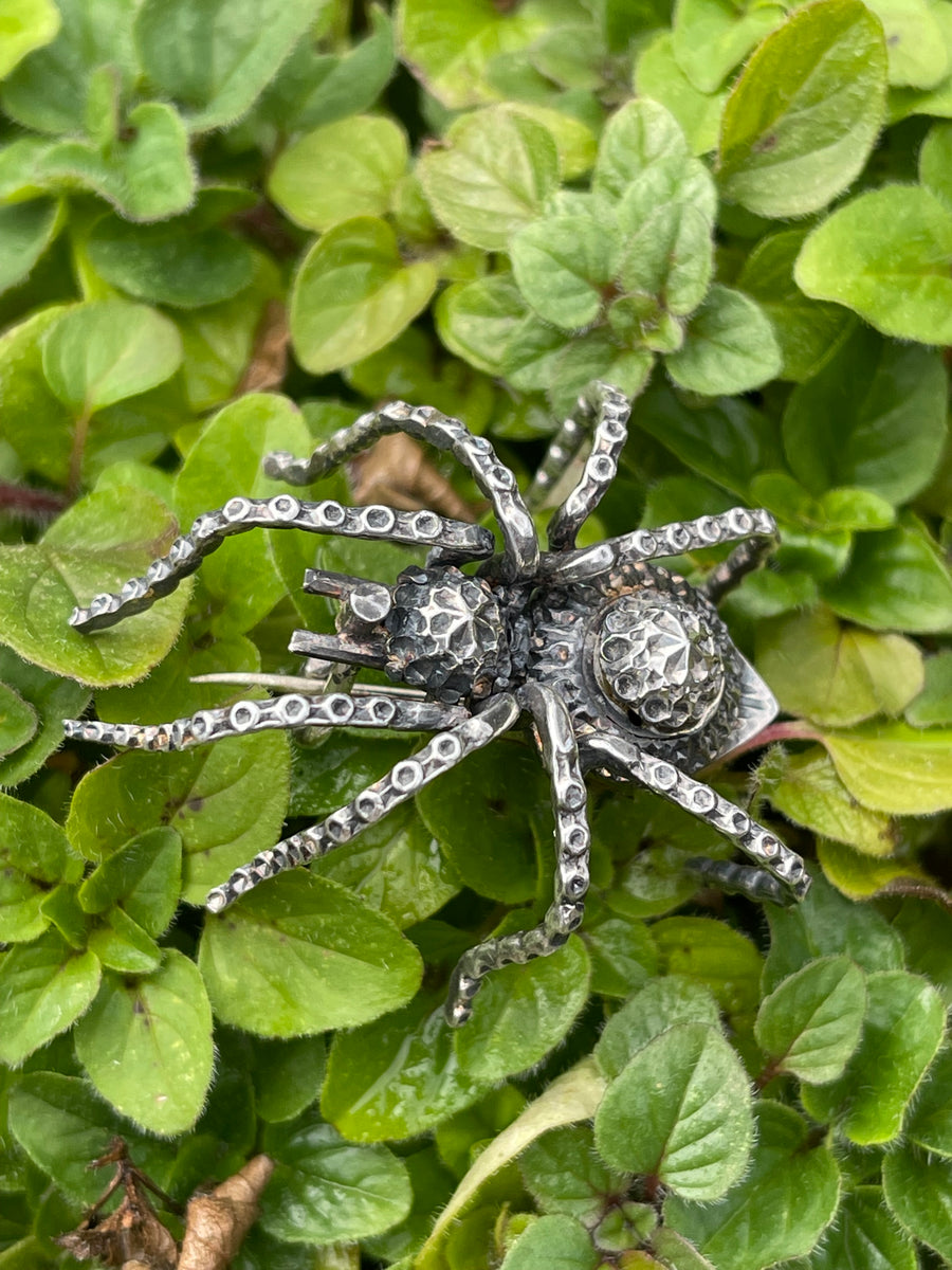 Victorian silver spider brooch - most unusual