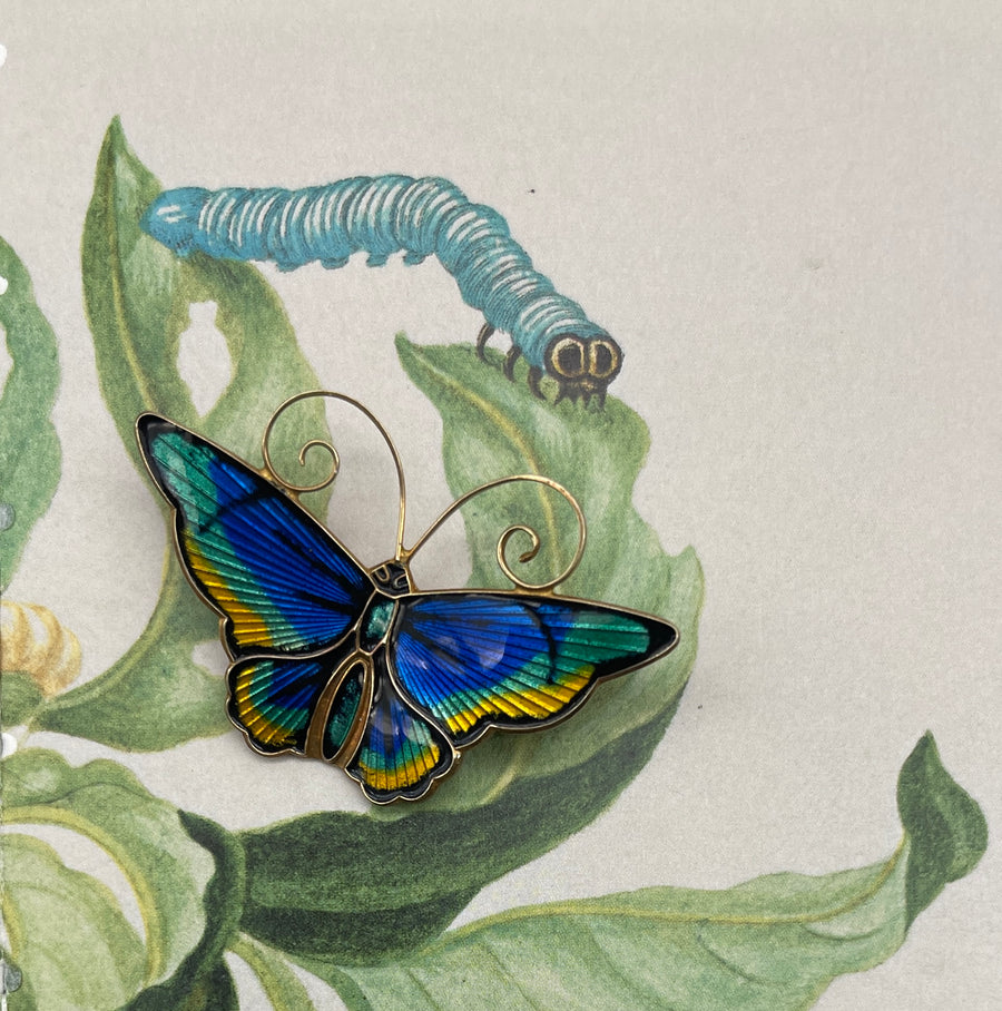 Vintage David Anderson Silver and Enamel Butterfly brooch/pin.
