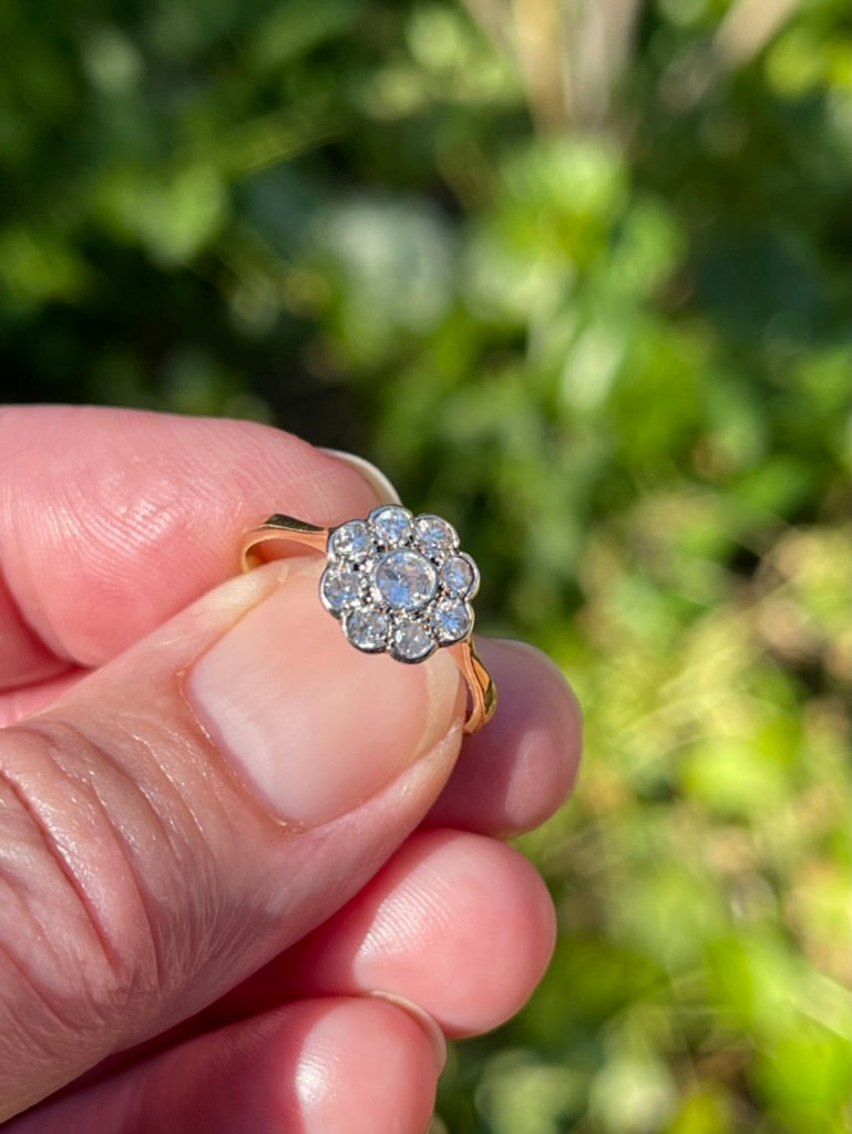 Edwardian 18ct Diamond and Platinum Daisy Cluster Ring